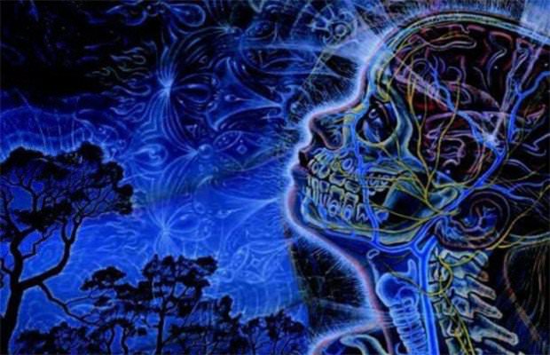 10 Questions About The Pineal Gland That Add To The Mystery Of Spirituality