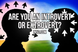 Are You An Extrovert Or Introvert?