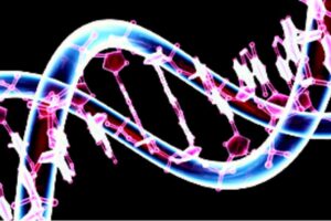 DNA Can Be Influenced And Reprogrammed By Words And Frequencies