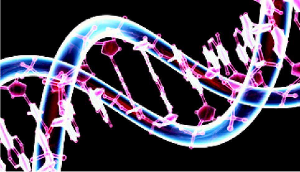 DNA Can Be Influenced And Reprogrammed By Words And Frequencies