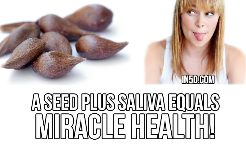 Seed Plus Saliva Equals Miracle Health