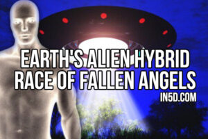 Earth’s Alien Hybrid Race Of Fallen Angels