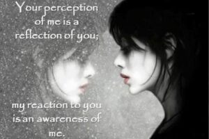 Your perception of me is a reflection of you