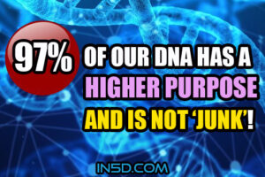 97 Percent Of Our DNA Has A Higher Purpose And Is Not ‘Junk’ As Labeled By Scientists