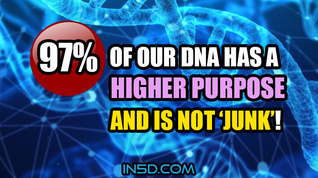97 Percent Of Our DNA Has A Higher Purpose And Is Not ‘Junk’