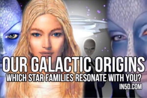Our Galactic Origins – Which Star Families Resonate With You?