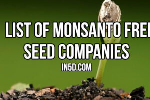 List Of Monsanto Free Seed Companies