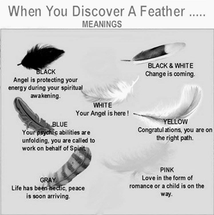 When you discover a feather... meanings in5d.com