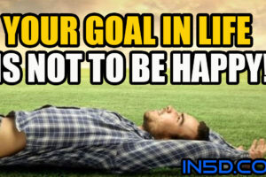 Your Goal In Life Is Not To Be Happy