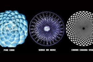 The Miracle Of The 528 Hz Love Frequency Solfeggio