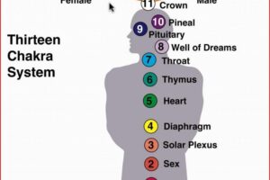 Your New Chakra System