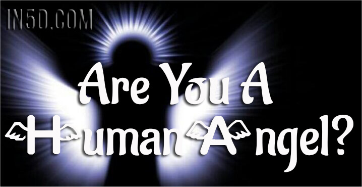 Are You A Human Angel?