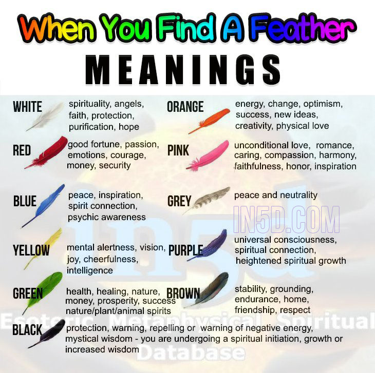 This Is What Different Feather Colors Mean in5d in 5d in5d.com www.in5d.com http://in5d.com/ body mind soul spirit BodyMindSoulSpirit.com http://bodymindsoulspirit.com/