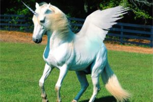 Unicorns: History, Magic, Myth and Symbolism