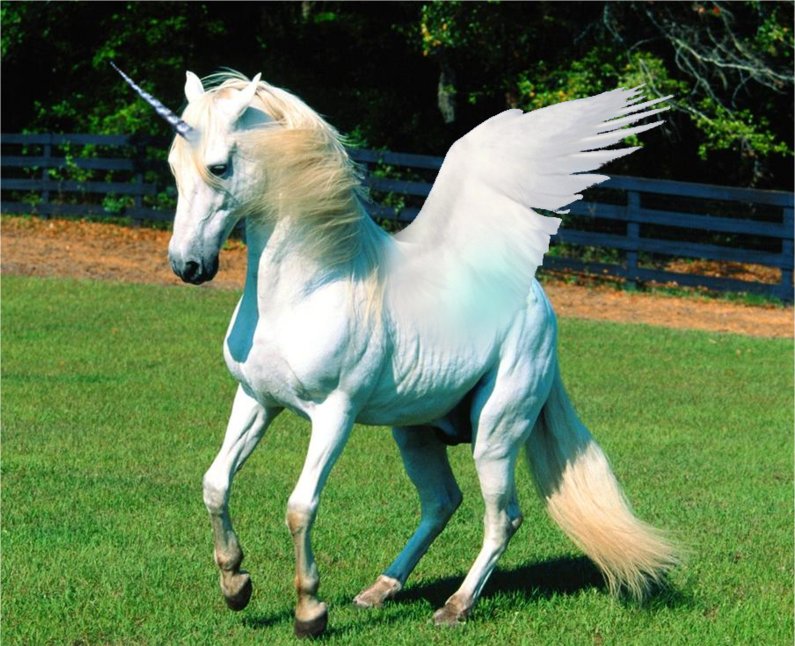unicorn symbolism
