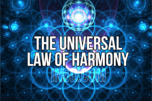 The Universal Law Of Harmony