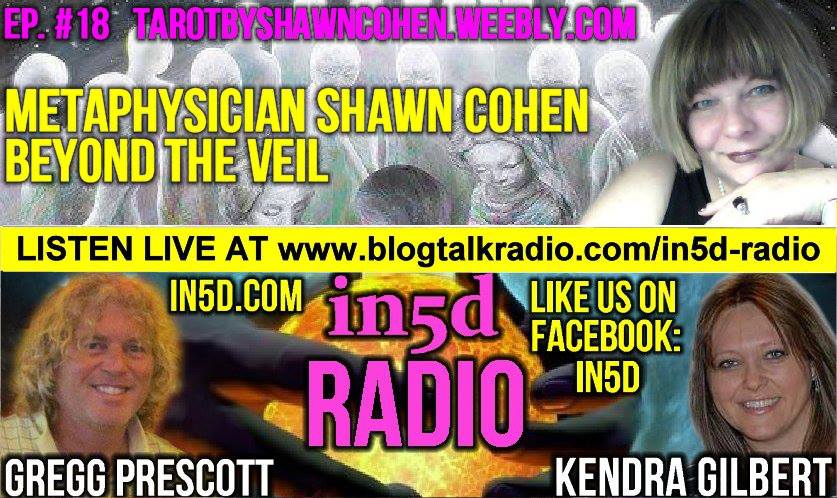 In5D Radio Metaphysician Shawn Cohen Beyond The Veil Ep. 18