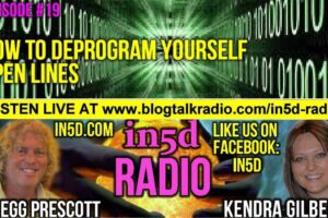 In5D Radio How To Deprogram Yourself Episode 19