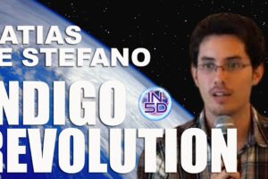 Indigo Revolution – Matias de Stefano – Future Expectations And Needs