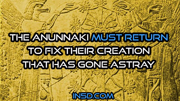 The Anunnaki MUST Return To Fix Their Creation That Has Gone Astray