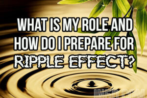 What Is My Role And How Do I Prepare For The Ripple Effect?