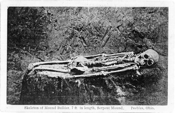 Figure 5: The 7 ft skeleton from Serpent Mound cut off at the knees. Courtesy of Jeffrey Wilson.