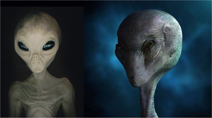 Large Grey Aliens Require Full Disclosure By 2016