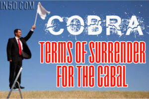 COBRA – Terms Of Surrender For The Cabal