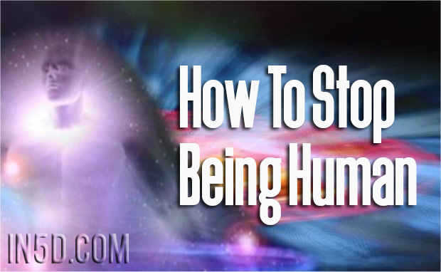  How To Stop Being Human