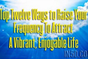 Top Twelve Ways to Raise Your Frequency To Attract A Vibrant, Enjoyable Life