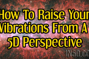How To Raise Your Vibrations From A 5D Perspective