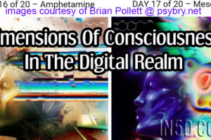 Dimensions Of Consciousness In The Digital Realm