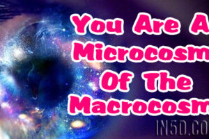 You Are A Microcosm Of The Macrocosm
