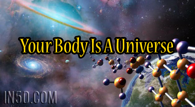 Your Body Is A Universe