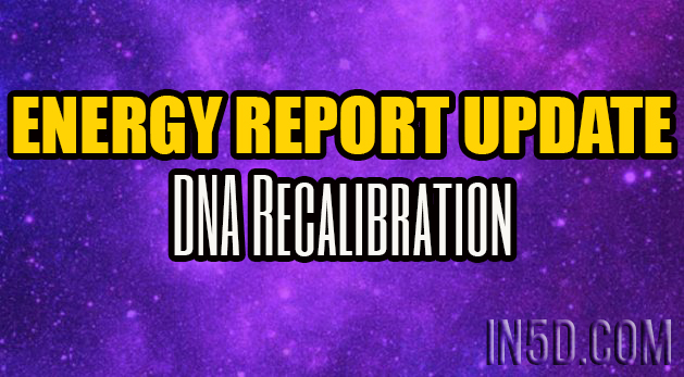 Energy Report Update - DNA Recalibration - Tiffany Stiles