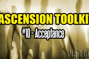 Ascension Toolkit #10 – Acceptance