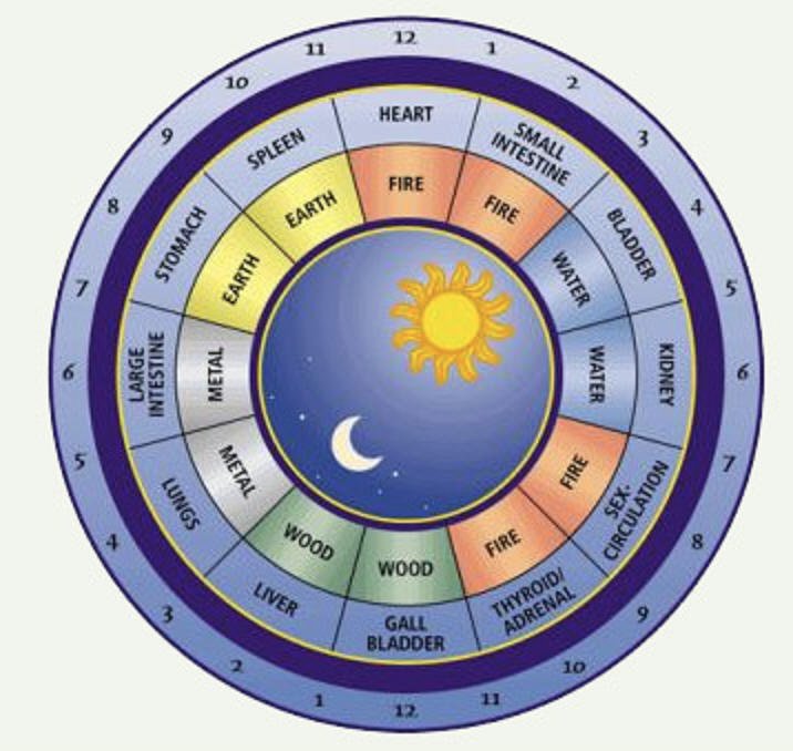 Chinese Medicine ‘Meridian Clock'