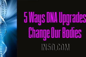 5 Ways DNA Upgrades Change Our Bodies