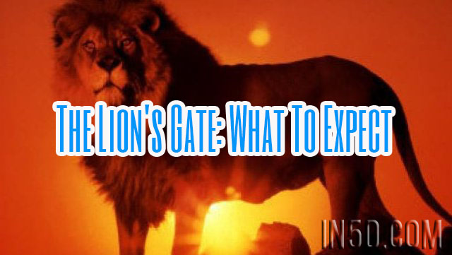 The Lion's Gate: What To Expect