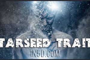 Starseed Traits – Are You A Starseed?