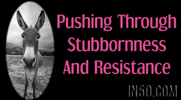 Pushing Through Stubbornness And Resistance