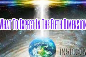What To Expect In The Fifth Dimension