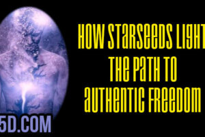 How Starseeds Light The Path To Authentic Freedom