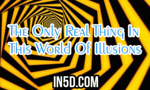 The Only Real Thing In This World Of Illusions - In5D