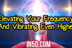 Elevating Your Frequency And Vibrating Even Higher