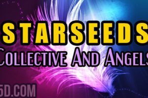 Starseeds: Collective And Angels