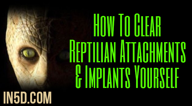 How To Clear Reptilian Attachments & Implants Yourself