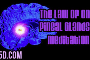 The Law of One, Pineal Glands & Meditation: Awakening Collective Consciousness