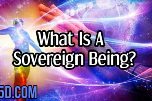 What Is A Sovereign Being?