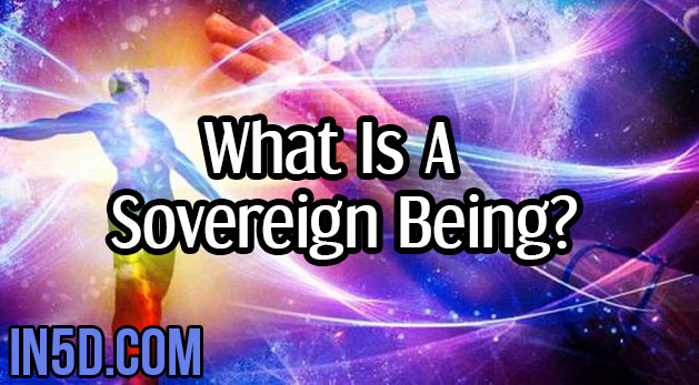 What Is A Sovereign Being?